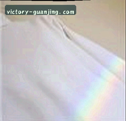 陈磊